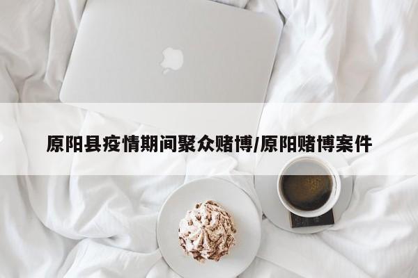 原阳县疫情期间聚众赌博/原阳赌博案件